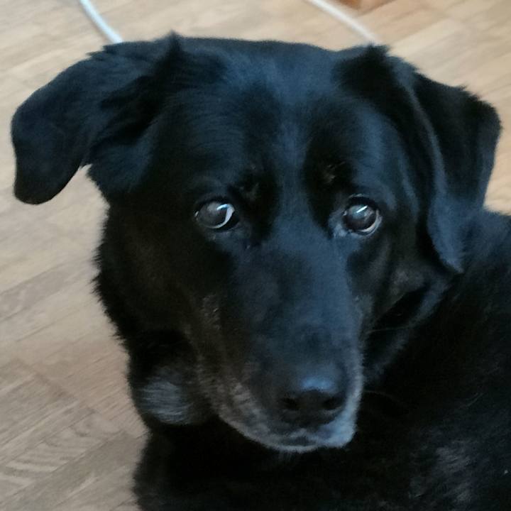 A02ac978 9cf1 4d55 927a b385d3d0b8b0 1751104109627