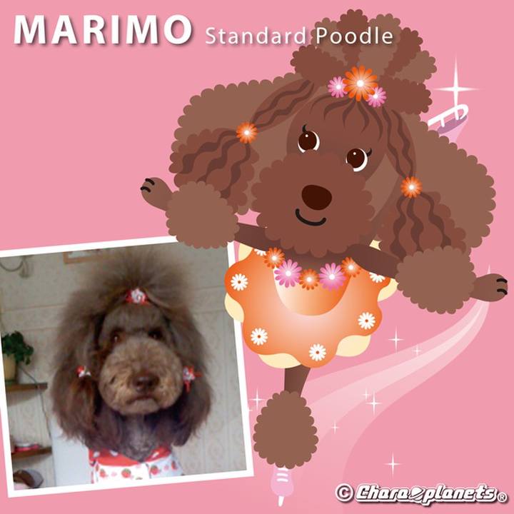 A02ad0f9 a2b0 4526 ac61 a8648f39b9ef 1568722425427