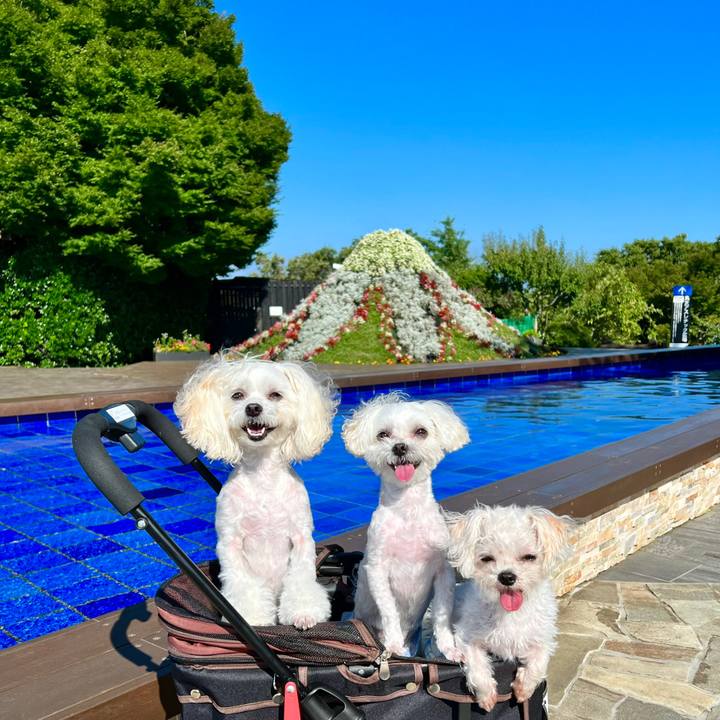 A02adbd0 393b 4247 a739 7b416bba2fb3 1656228088992