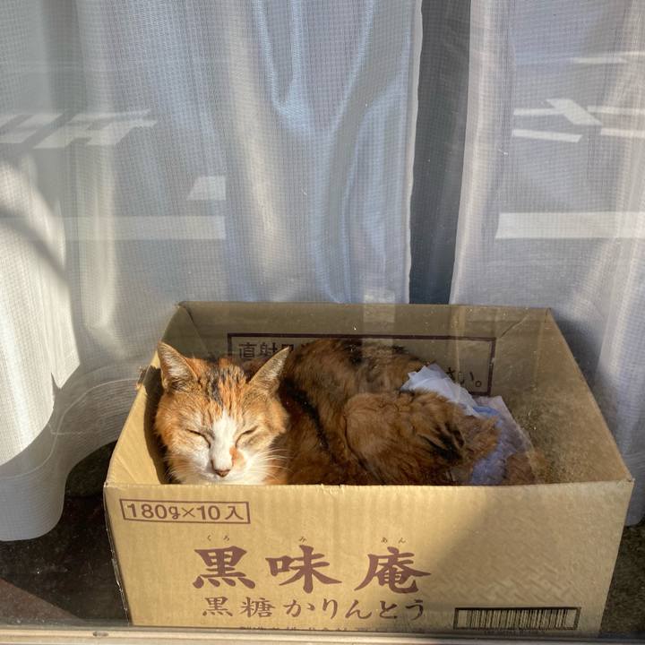 A02aee74 e084 4275 a29e c68c84d183c4 1731053084523