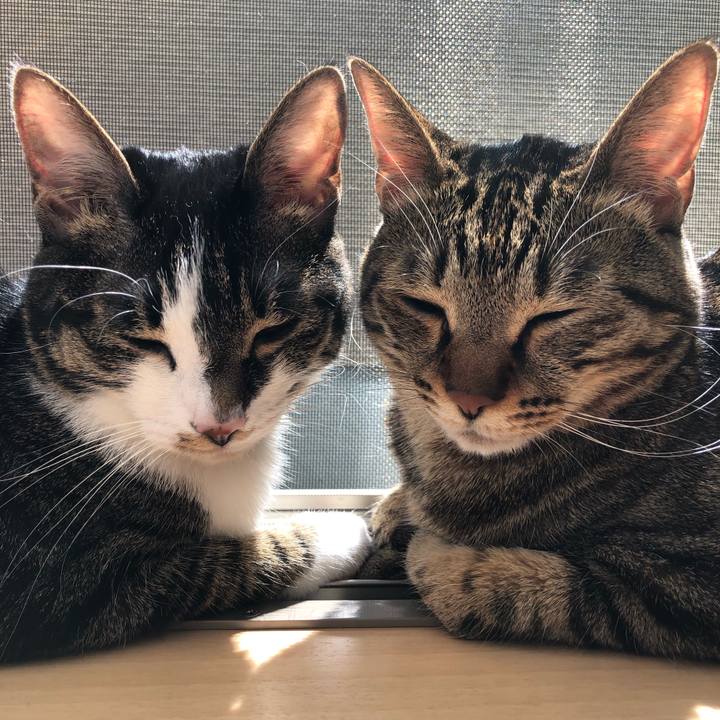 A02b2e35 9d18 4634 9fa7 706cb82ad528 1554611472206