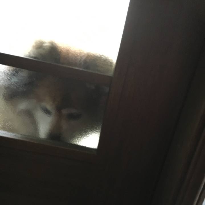 A02b3198 11d0 4bd0 841f b9ba08e7b5fb 1600668187778