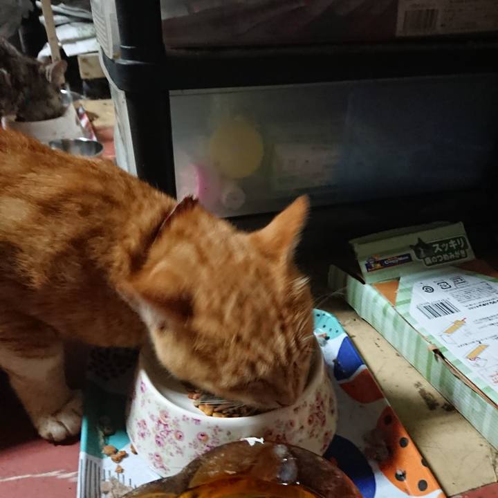 A02b6b1c 0c3d 4601 9c8e 8d3e438d372f 1564084158234