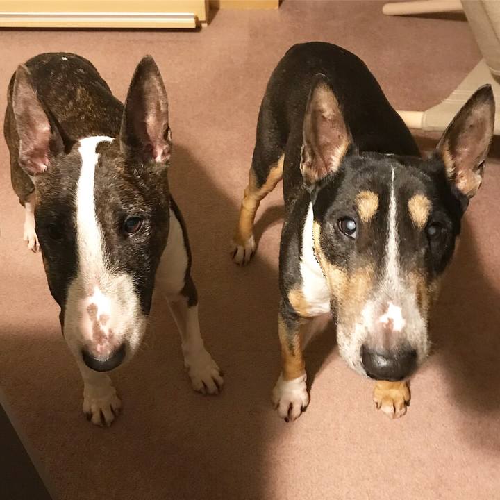 A02bae42 a0c0 47c5 b9dc 42f4b94b4d22 1521722379666