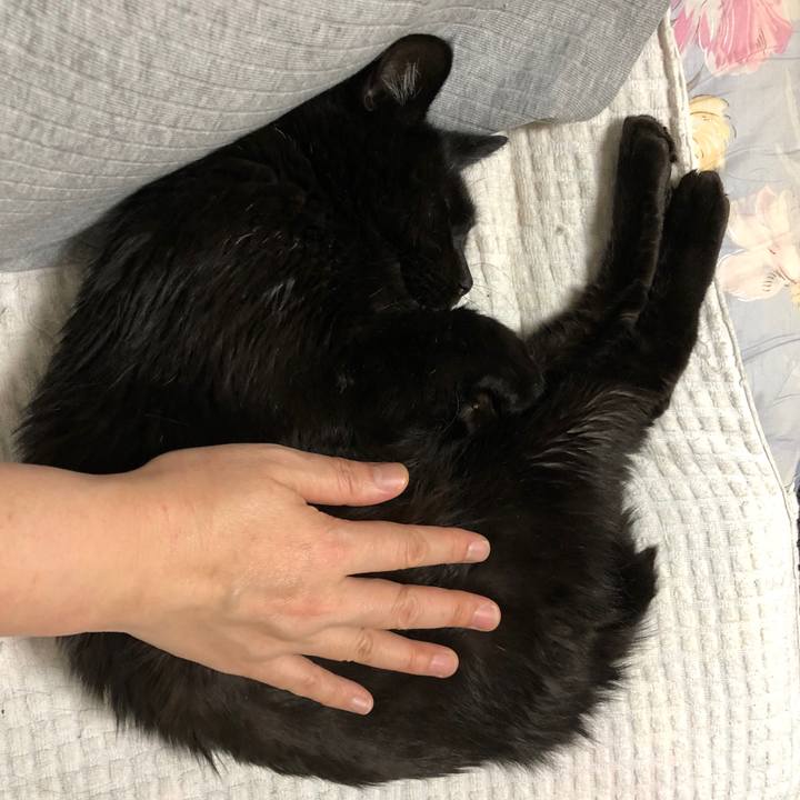 A02bc4ef eef8 4641 a5cc ec925661a77b 1586599824072