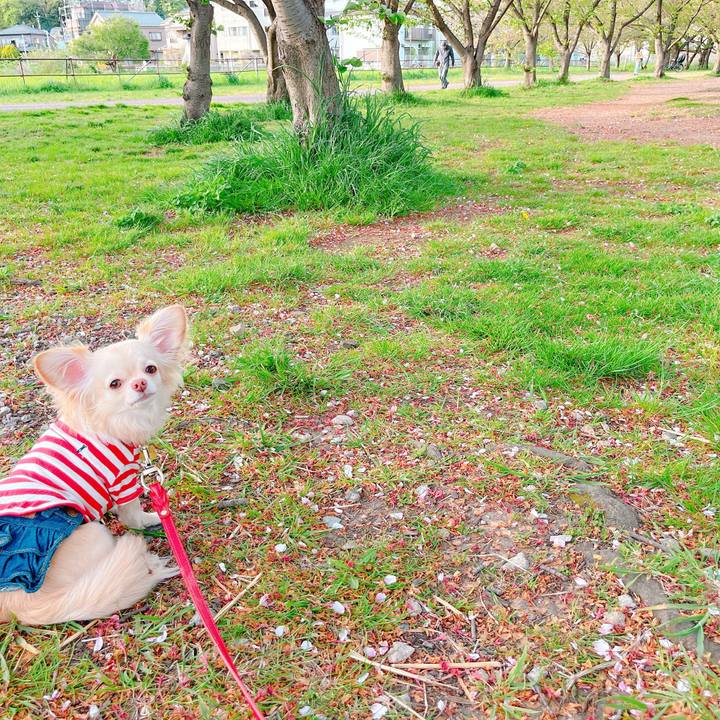 A02bf1b3 12d8 40d9 b54a 6a8407608a18 1649853512295