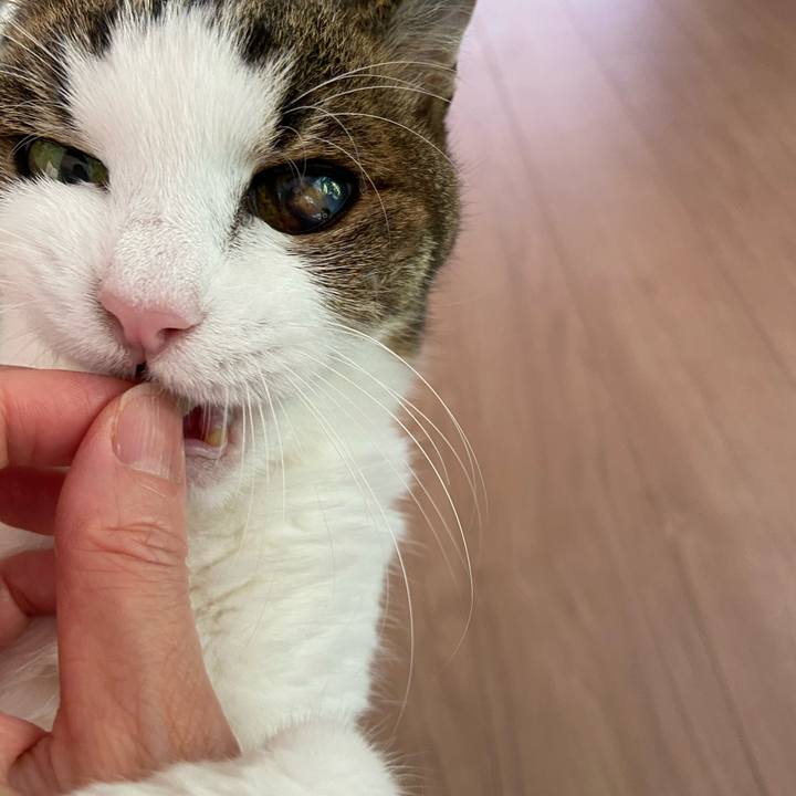 A02c3581 f27c 4f12 ad7f 5c57dc715251 1591505770376