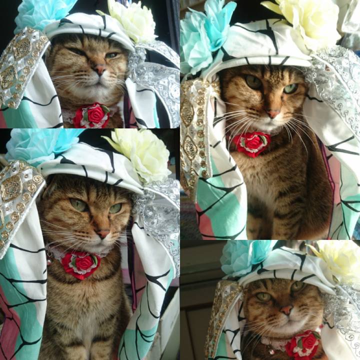 A02c5a7c b86a 4d90 b01d e001722f0d14 1762556054194