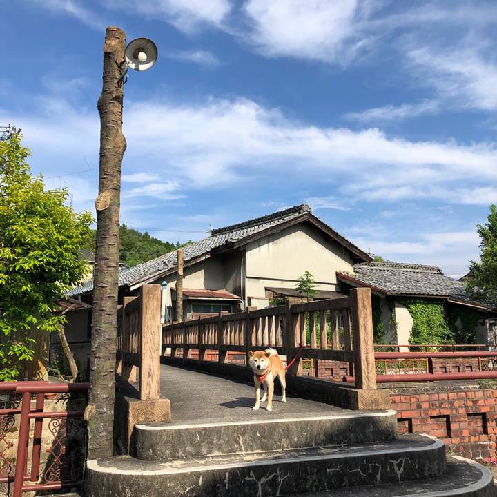 A02c653e 71d4 4cdf 9d99 0892d6b3e760 1559811706070