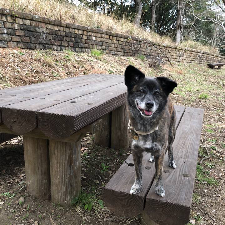 A02c9943 6c59 418a 9219 dcb672f720dd 1614612278630