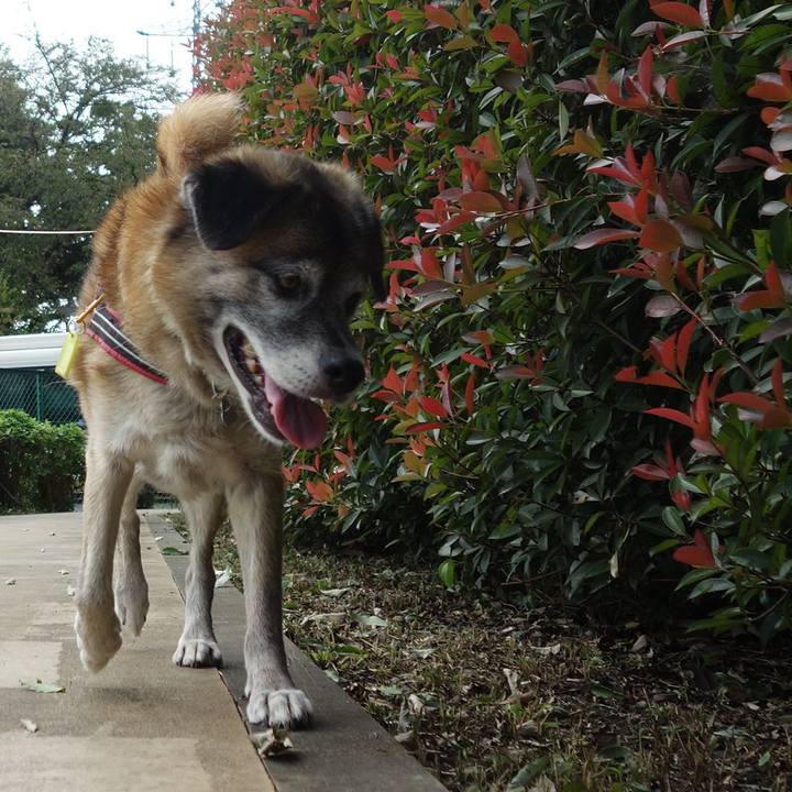 A02c9ec8 d755 4bdc a7b7 81c82b9754a2 1679098463470