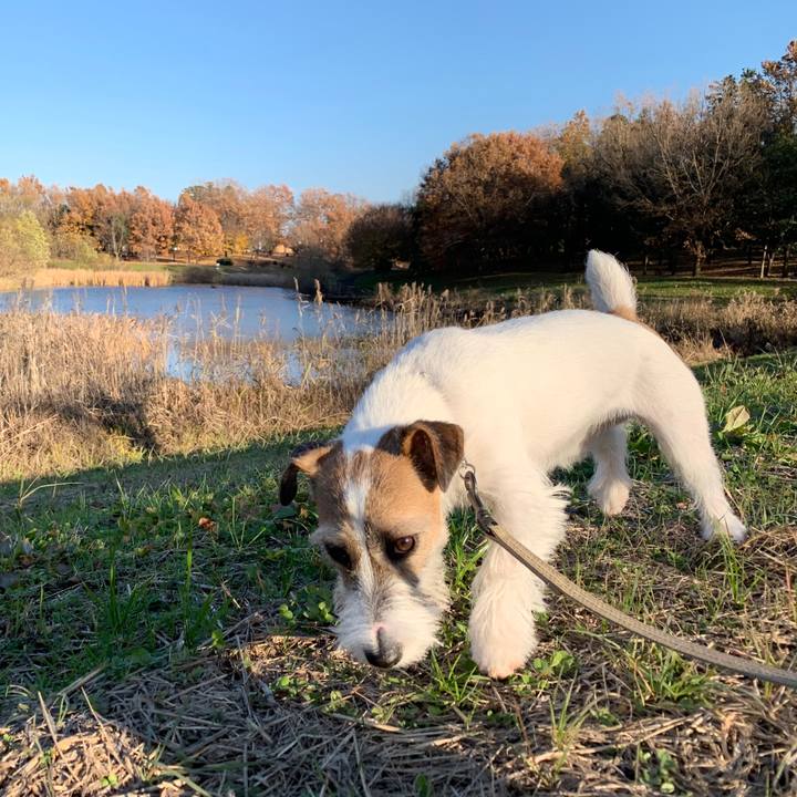 A02cc30a 761e 4bca a627 2cd36b35f887 1576134466612