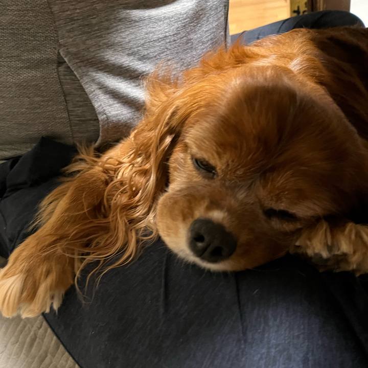 A02ce781 ece2 455b bfd3 f54adefc3f02 1697063345669