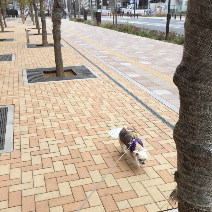 A02d34fa 3f03 4cff 95ba 27dff3a2be71 1549871952157