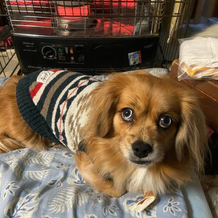 A02d904d def0 475f 81be 8bdb0c0bb965 1608068537787