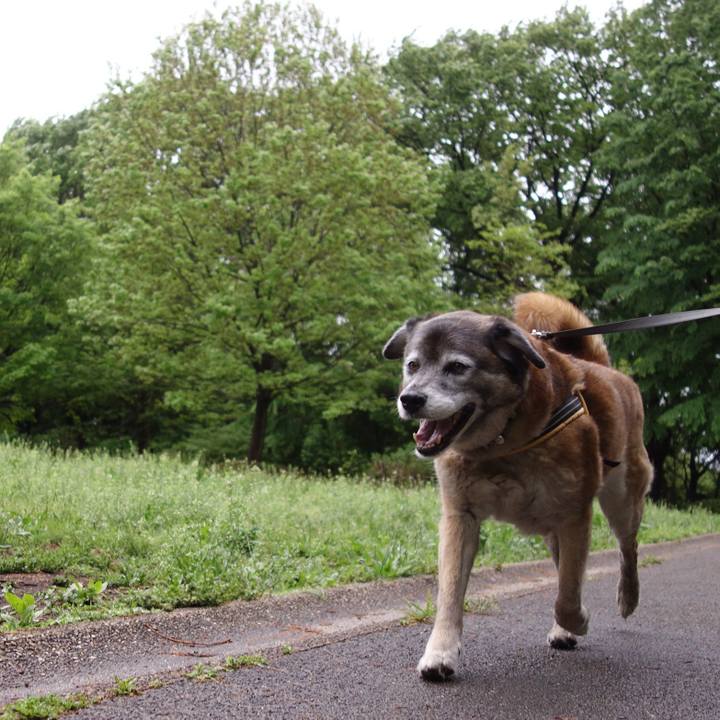 A02dc9b6 28bd 4093 ba15 240c62218d62 1556324947445