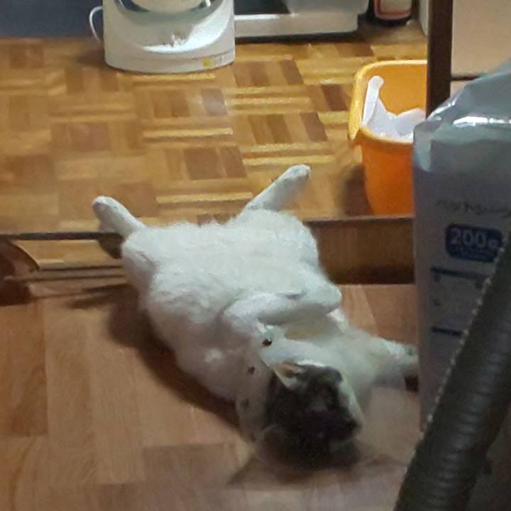 A02dc9da 33e1 4f56 8aad 1636a6f9c736 1597049383871