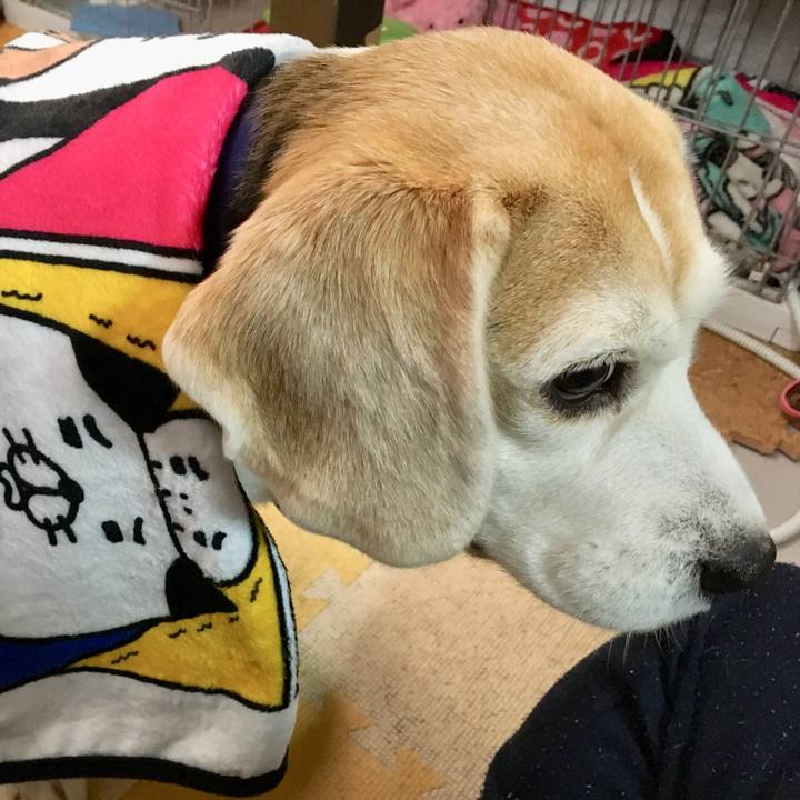 A02dfcf8 6bc9 447d 8569 a1be2c084fea 1769322478017