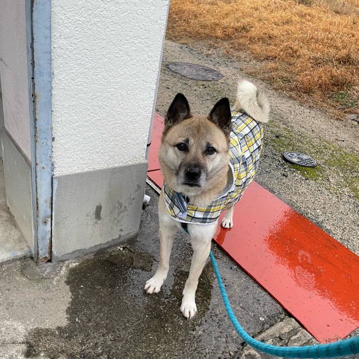 A02e0c0c a635 4930 8b83 f6176f652f8b 1677244158634