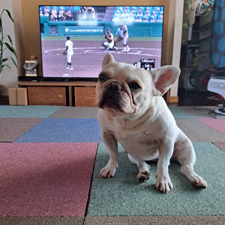 A02e183e d988 4dd8 b470 1765238a832d 1692402467669