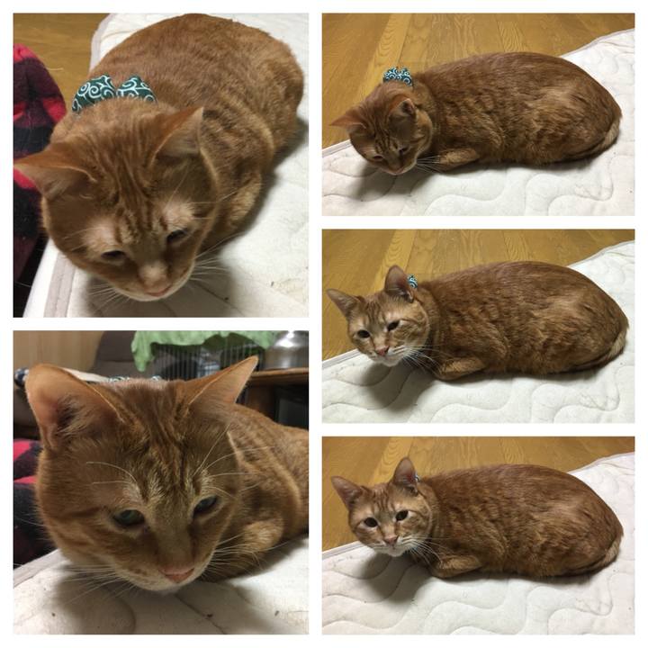 A02e5526 9e86 4cdd b92e 253200188dcb 1550250028675