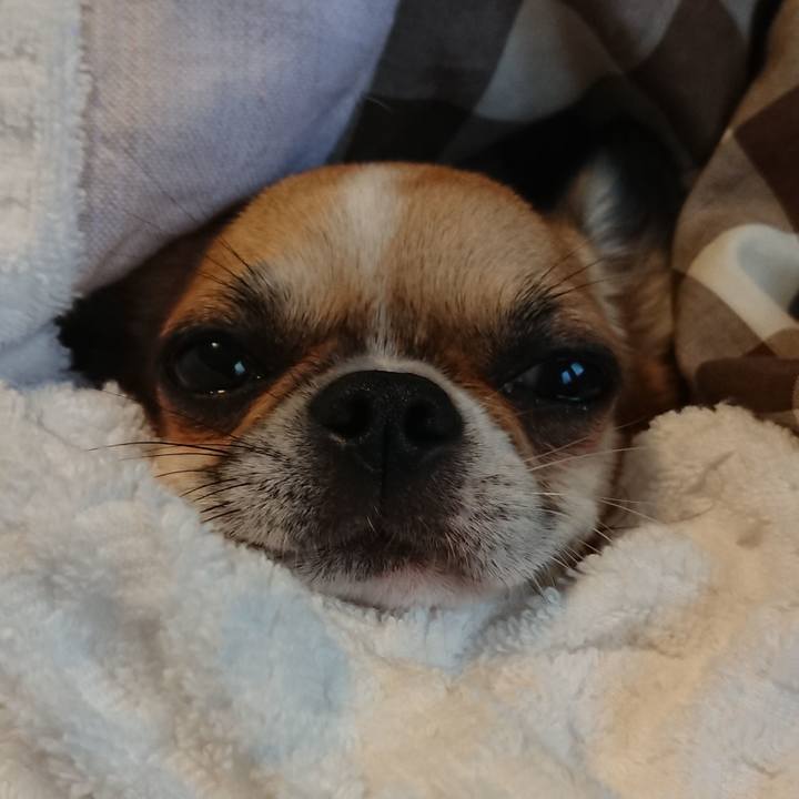 A02eb81f 305b 4199 9f81 317444b1a841 1570661515863