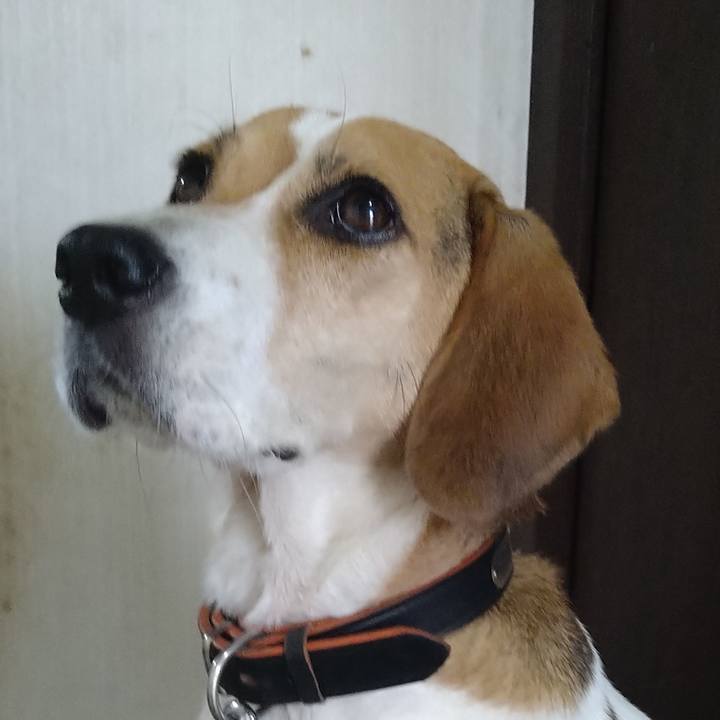 A02ebee3 2726 4dd5 93ef fd4396eac4eb 1630753216097