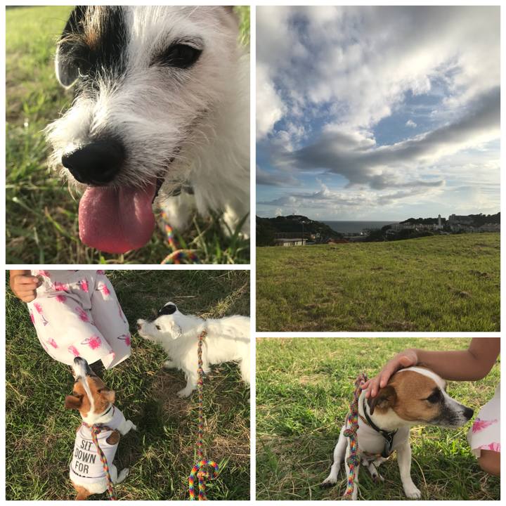 A02eceb0 5be0 4b2d a3b4 b602a273b221 1536482609009