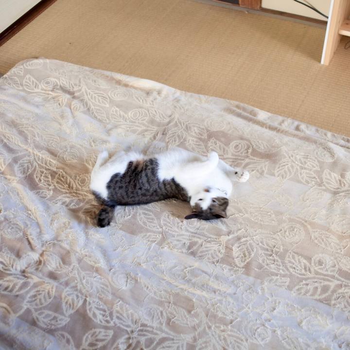 A02f1662 9e02 4b9d 8c0d 8540a167e196 1588215570220