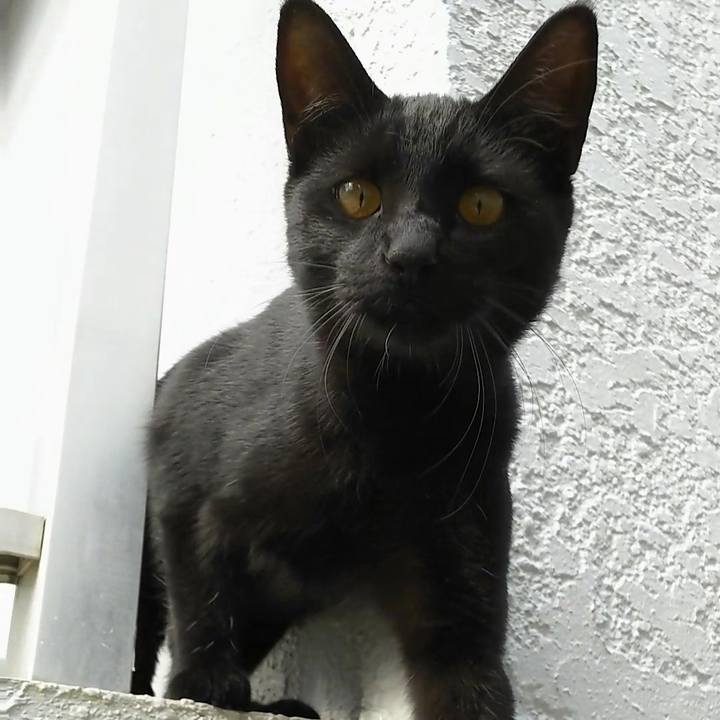 A02f3308 c215 42c6 adfd 847d216f4506 1543379159817