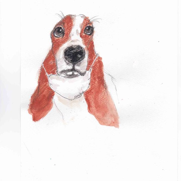 A02f5132 42a1 4cbf 8602 a45f486929a7 1595433368955