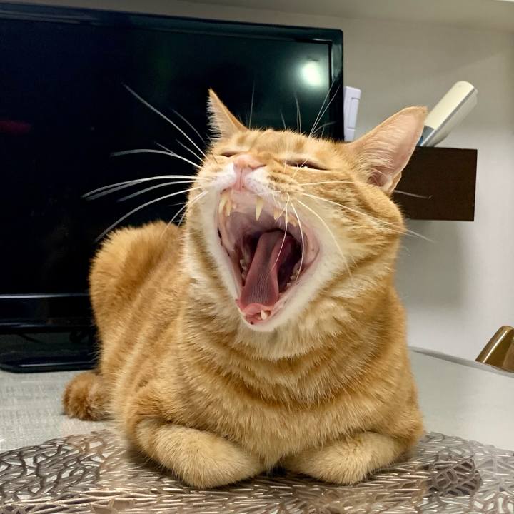 A02f6216 abce 4258 946d eac4ef964ca9 1644963355586