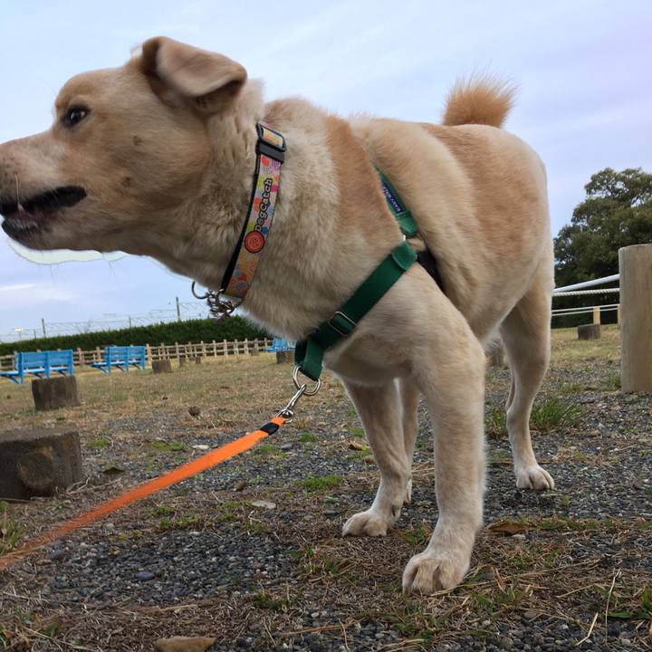 A02f628b a7f2 442e 9c1a a2fa35eb38d7 1521364415855