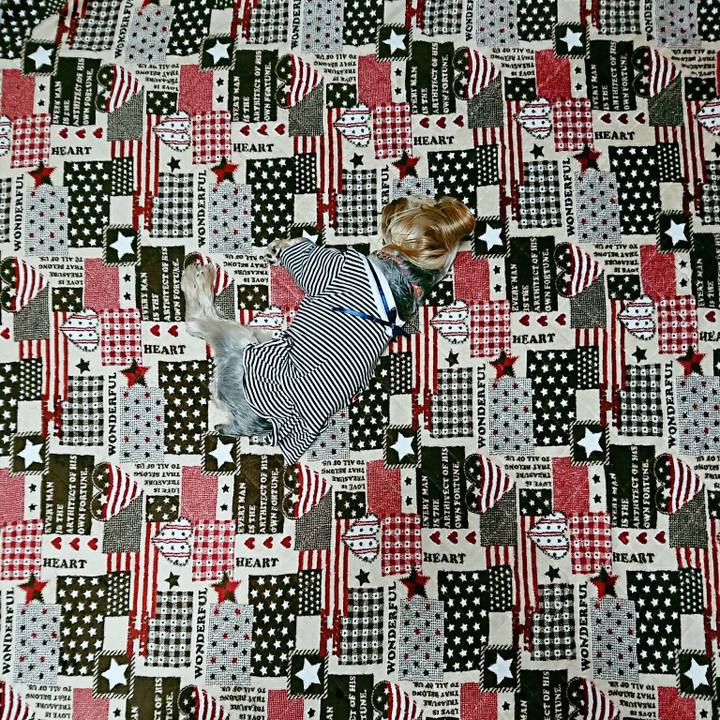 A02f6666 a511 4d34 a904 6d38d0d47a13 1510935924334