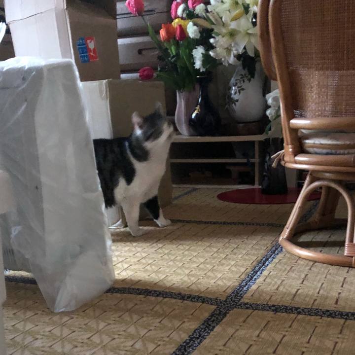 A02f6acc 611d 487f a040 5132dadb914c 1523928453558