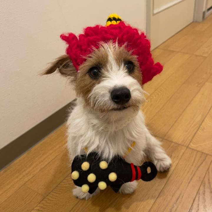 A02f897c 824b 410b 8188 1e62686b30a6 1770117044402