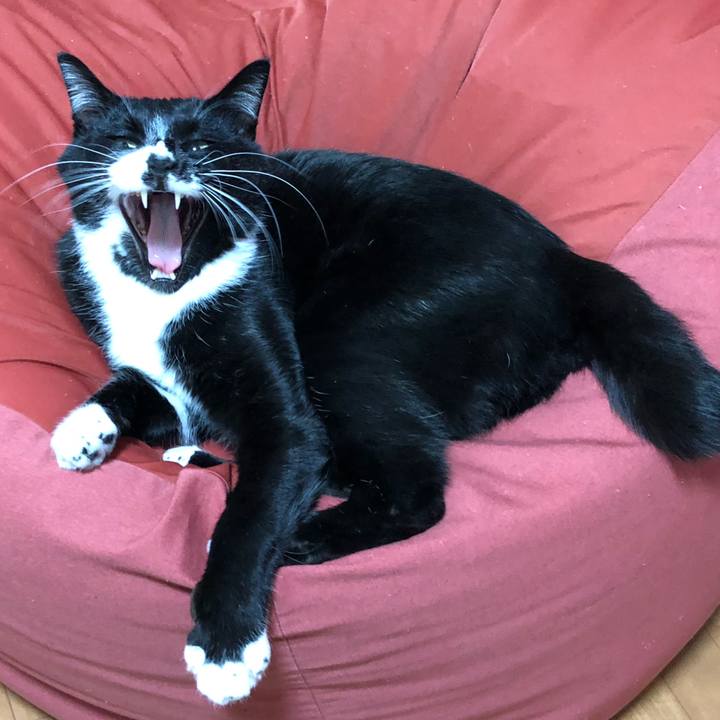 A02fb047 4a7a 4981 bdac 10525f040691 1640575674026