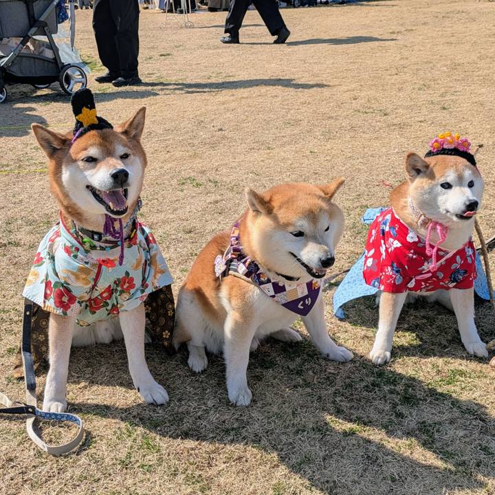 A02fbd77 745a 4e29 9dbf 3a448294b55b 1772519145937