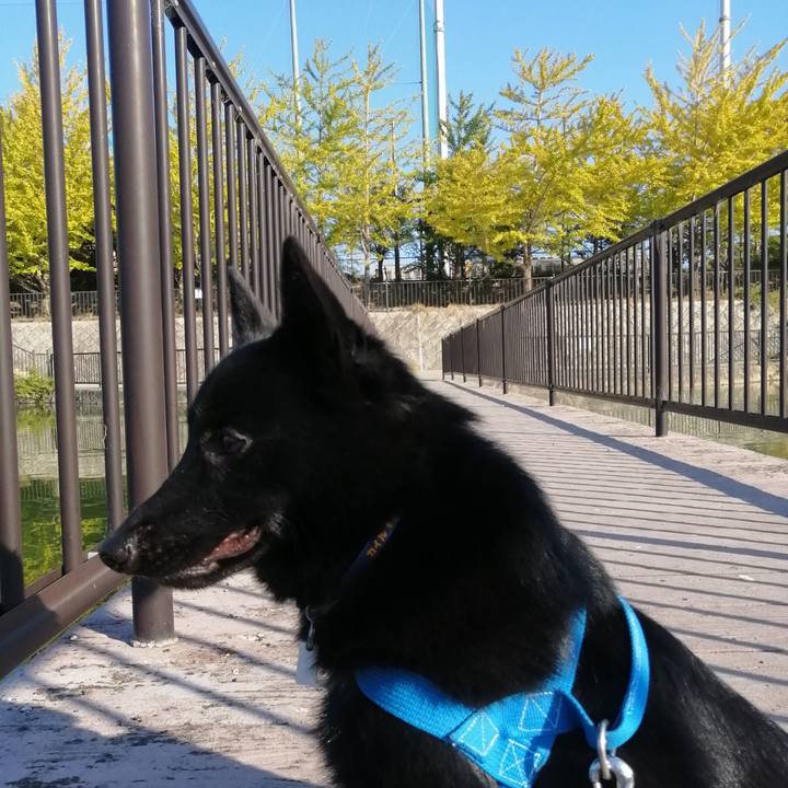 A02fc3eb 9940 40c3 a0b5 9efd3e24ee18 1634341555411