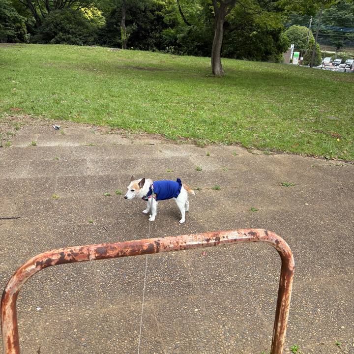 A02fe309 76f2 49d9 b20d d6a3ffe5c3fb 1751930568158