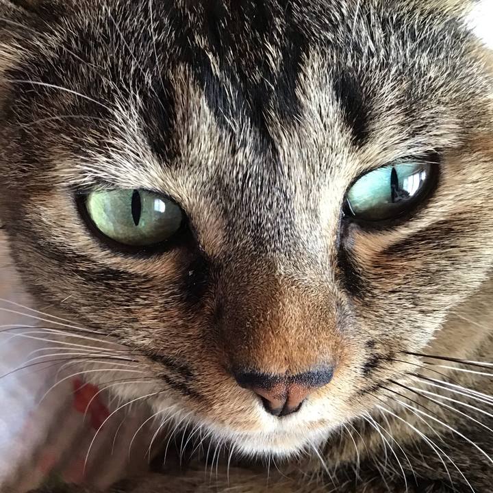 A030111e 580b 463c 9d59 2e0dd0cc5180 1632897680340