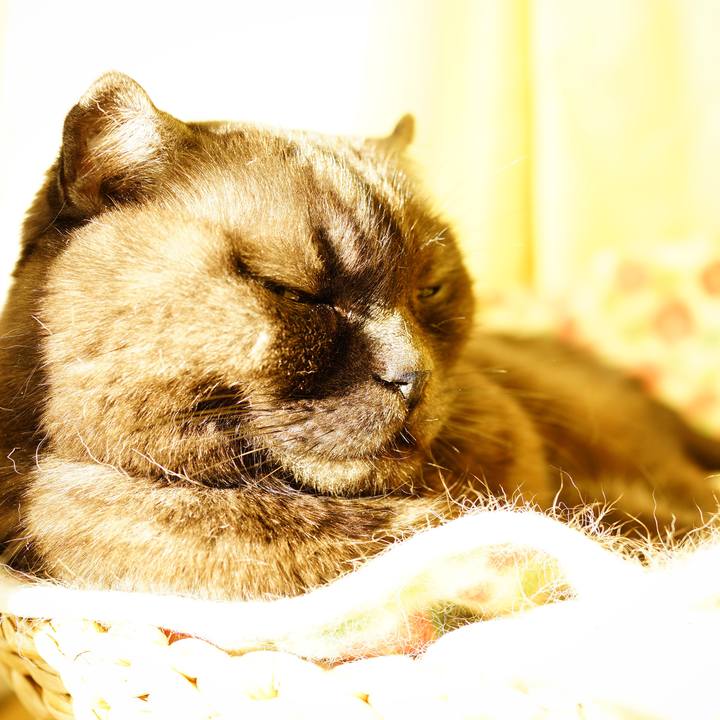 A0301a8f 8505 414e 9cbb 6baf1a1d7689 1641032992432