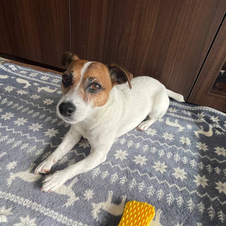 A0304854 2562 45cd b632 085595c13110 1745459826555