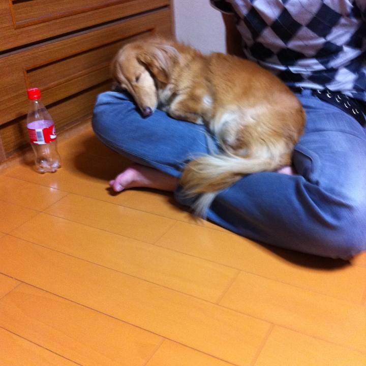 A03079b0 32b8 4702 8a11 c5542b0396ac 1593298268387