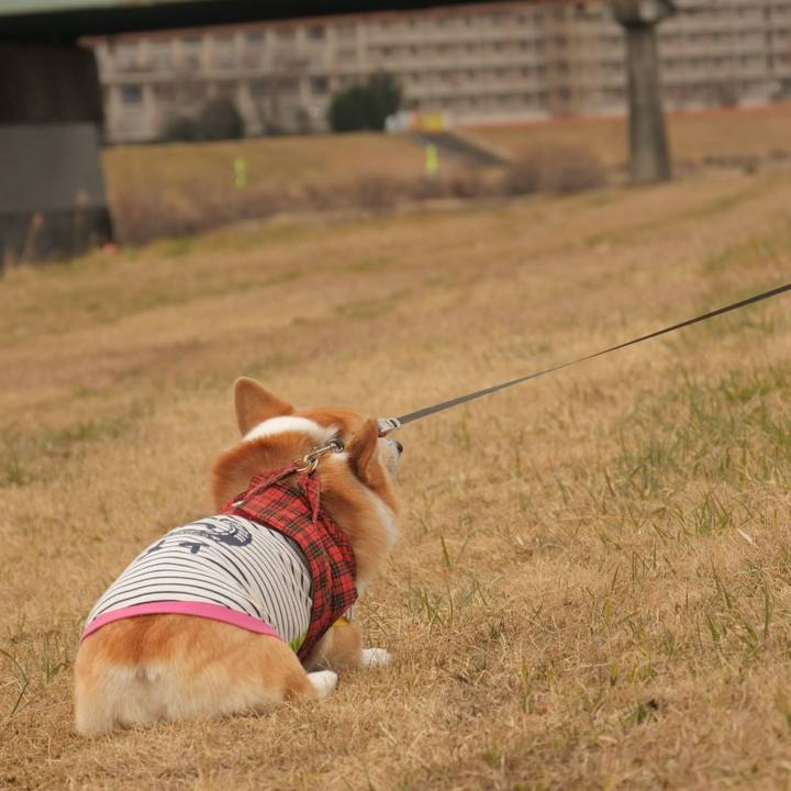 A03105f9 76e9 4cb7 9fd0 6394d36ed7b2 1579441405487