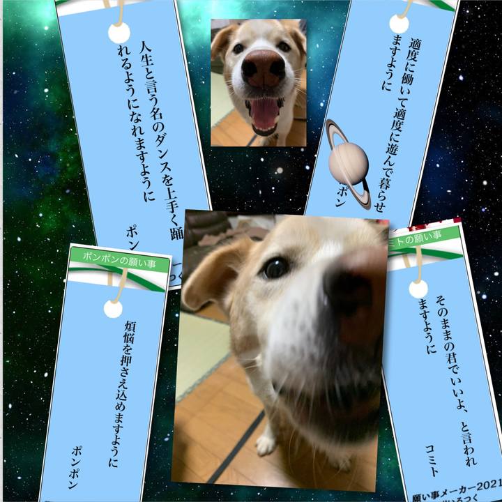 A031094a c51d 4bdc ac58 d71f4e36751f 1625656398448