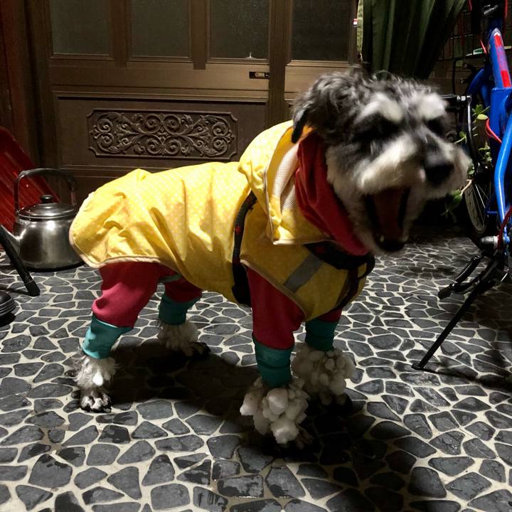 A031339f eb17 4bb2 a9fe 001112a2dc30 1640616467776