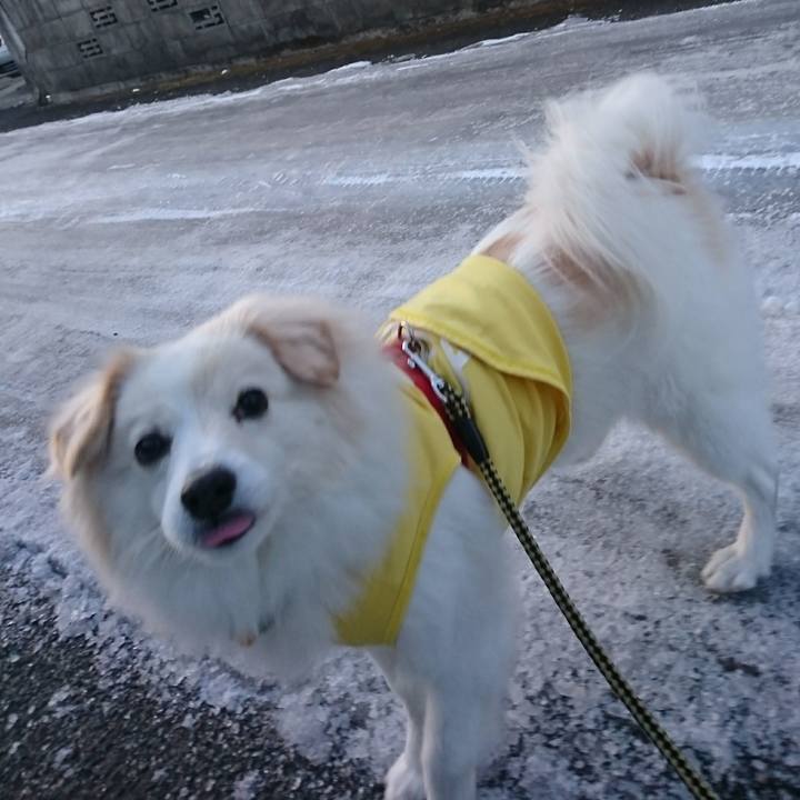 A0313d71 94eb 44b8 9fe6 caba661f6552 1517867791198