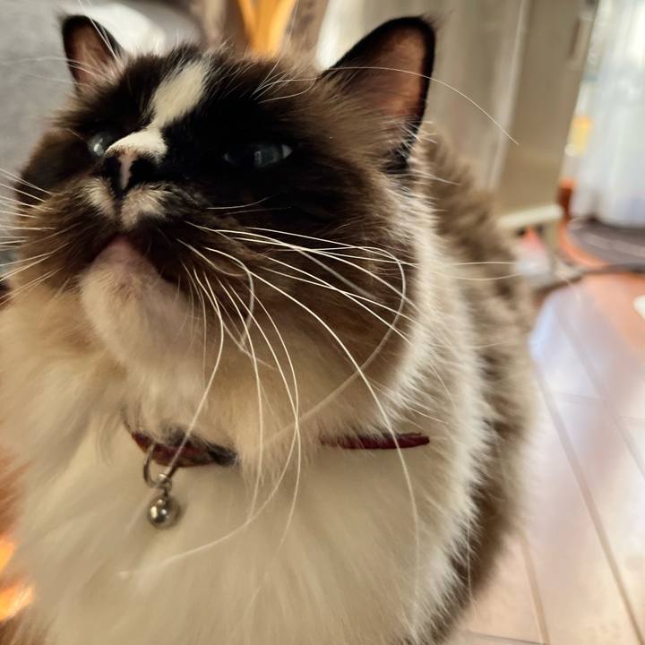 A0315bef 7a79 4b62 a338 d039337d020b 1675421434122