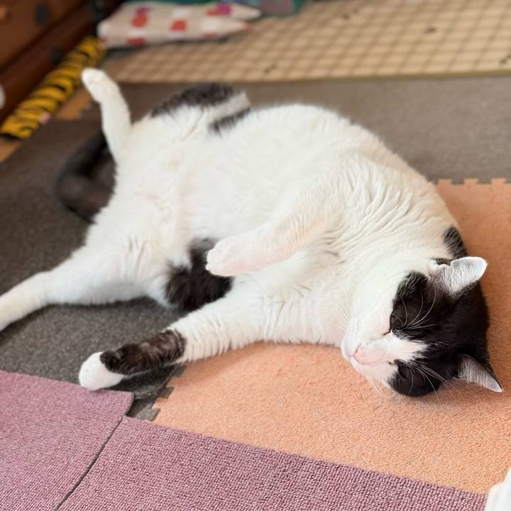 A031a6bb eff7 46d1 9de3 b694a1c892b5 1770949980104